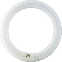 Tubo Fluorescente Circular T9 Osram L32/840 307 Mm