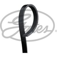 Correa de Accesorios 4pk1218
