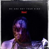 Slipknot - We Are Not Your Kind .lp