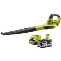 Soplador Inalámbrico 18V con Batería 4.0Ah y Cargador
