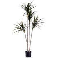 Planta Decorativa Hoja Estrecha