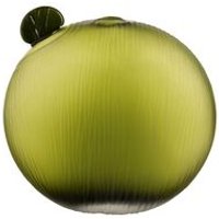 Florero de Cristal Decorativo 24x9x24 Cm