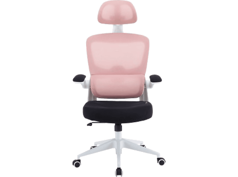 Silla Gaming Woxter Ergo GM26-107