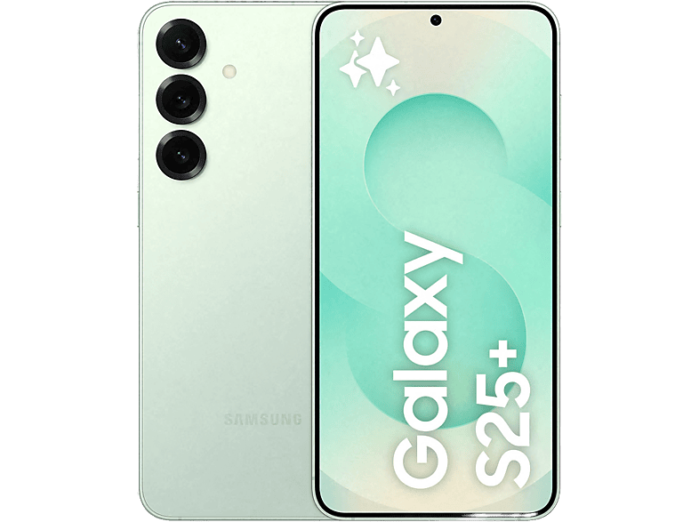 Samsung Galaxy S25 Plus 256 GB 12 GB RAM Snapdragon 8