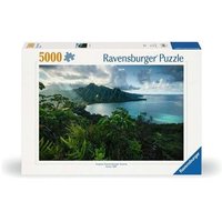 Ravensburger Puzzle 5000 Piezas