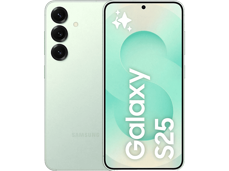Samsung Galaxy S25 512 GB 12 GB RAM
