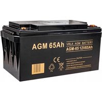 Volt Polska Batería AGM 12V 65Ah VR La
