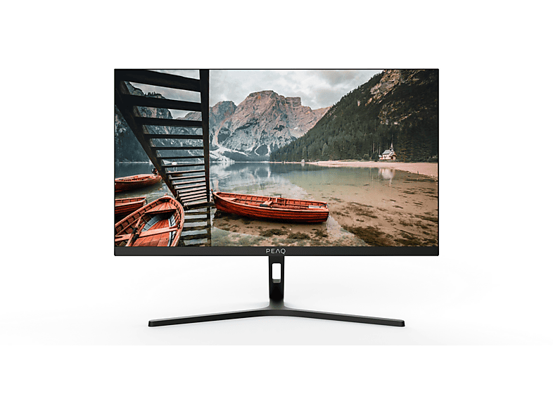 Peaq PMO S224-VFC Monitor 22" Full HD, 100 Hz, 6 ms, VGA, FreeSync, Altavoces integrados