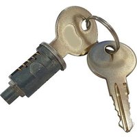 Inserto de Desbloqueo con 2 Llaves (i100017) para BFT Deimos BT