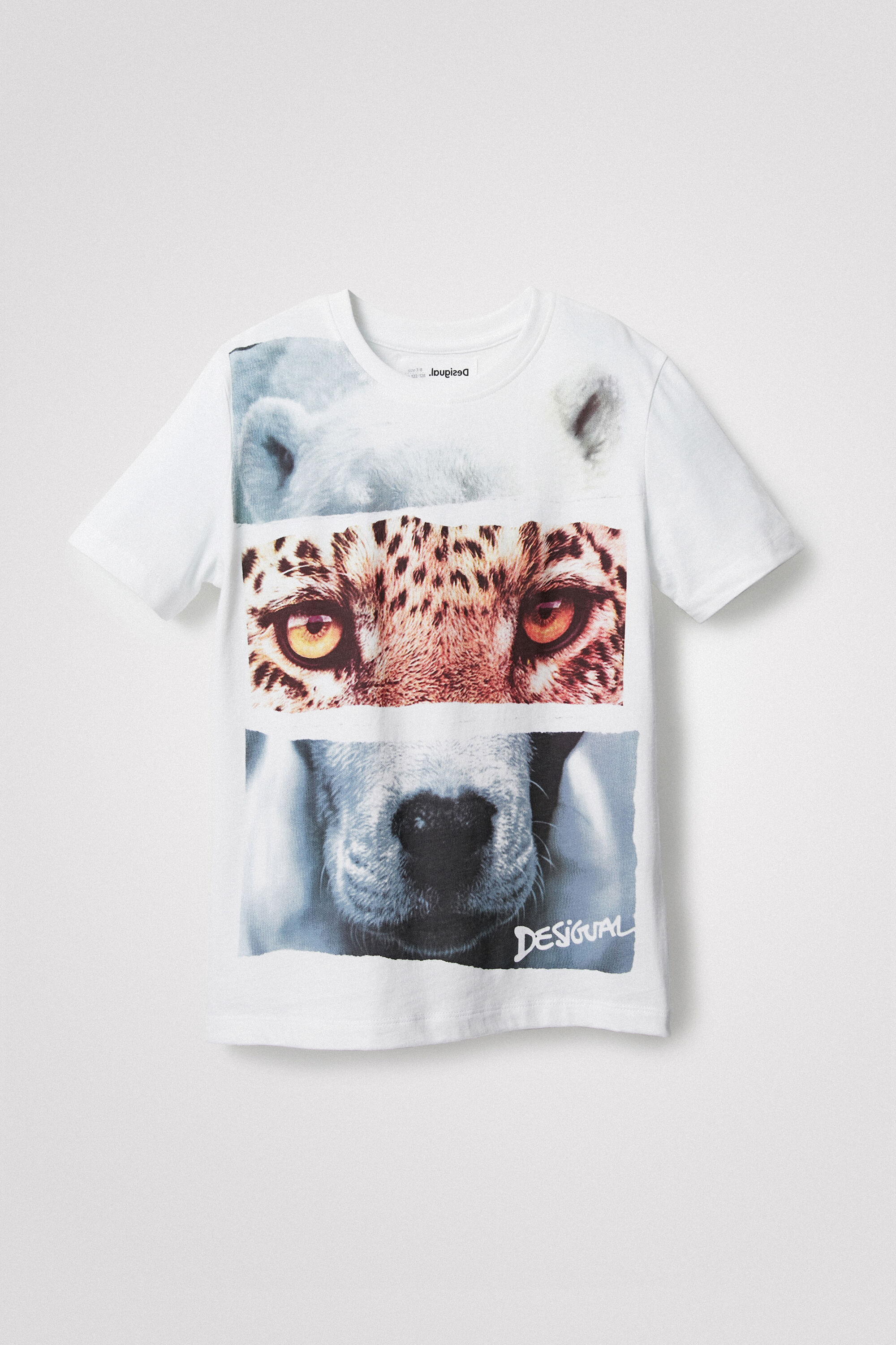 Desigual Camiseta con Estampado Animal para Hombre