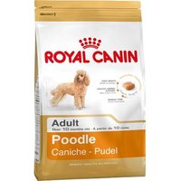 Royal Canin Croquetas para Caniches 1.5 Kg