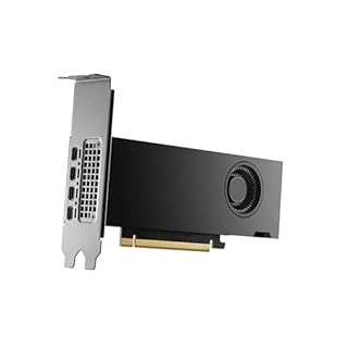 Tarjeta Gráfica NVIDIA RTX 2000 Ada Generation 16 GB GDDR6