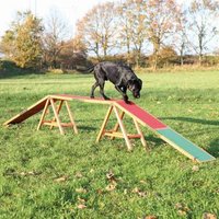 Trixie Pasarela para Agility