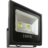 Bematik Foco LED LP66 100W 9000lm NF08600