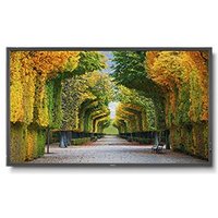 Televisión LED Nec Multisync X554hb 55"