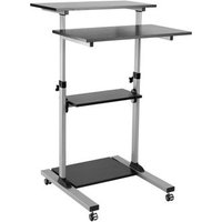 Roline 17.02.1547 Soporte y Montura para Estación de Trabajo/PC Todo en Uno