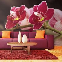 Fotomural Orquídeas Delicadas En El Agua