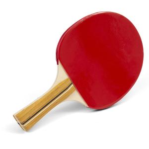 Raqueta de Tenis de Mesa