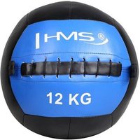 Pelota de Pared HMS WLB12 12 kg