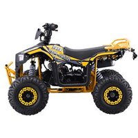 Cuatrimoto 110cc