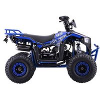 Cuatrimoto De Gasolina Explorer 110 Cc