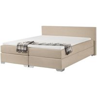 Cama Continental Tapizada 180x200 Cm President