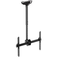 Soporte TV Orientable de Techo