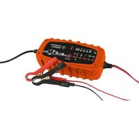 Cargador De Batería Automático 6v/12v 2a Xl Perform Tools