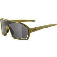 Alpina Bonfire Gafas Deportivas
