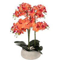 Orquídea Artificial Sanae H65cm