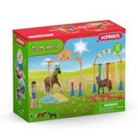 Entrenamiento de Agilidad para Pony