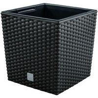 Maceta Rato 64L