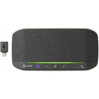 Altavoz Sync 10 Sistema De Manos Libres