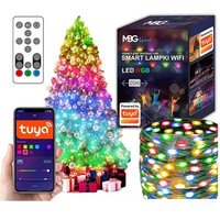 Tira Led Inteligente WiFi Tuya 20m USB