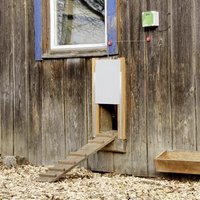 Puerta Automática para Gallinero Kerbl 300x400 Mm