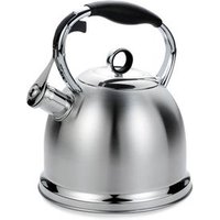 Tetera Maestro Mr-1334 2.9 L Acero Inoxidable