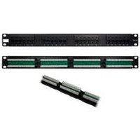 Panel de parcheo Phasak 1U 24P Cat5e