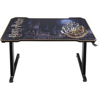 Mesa Gaming Subsonic Harry Potter