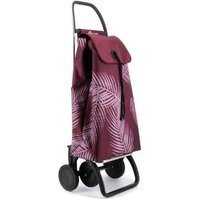 Carro Rolser I-max Costa Rica 4 Ruedas