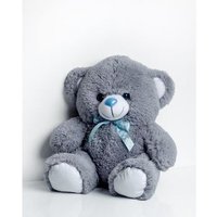 Oso Tommy 65 Cm