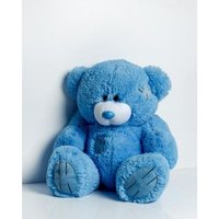 Oso Teddy 60 Cm