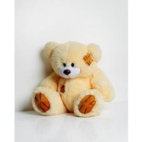 Oso Teddy 60 Cm