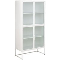Vitrina de metal con 2 puertas
