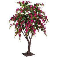 Árbol Camelia Decoración