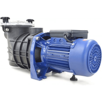 Bomba de Filtración Bravia 0.80 HP Tres Fases