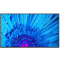 Monitor Nec 65"