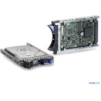 Disco Duro IBM 300 GB 10000 RPM