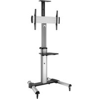 Roline Monitor 70"