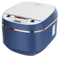 Arrocera Eléctrica Dam 5L 900W