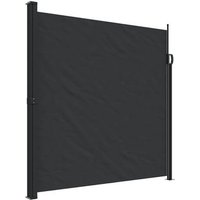 Toldo Lateral Retráctil Vidaxl 200x500 Cm